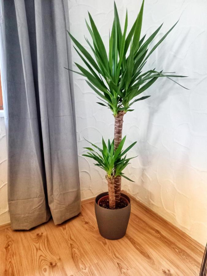 Ferienwohnung Am Wald Waidring Exteriör bild